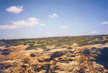 Portugal:
Das trockene Inland Portugals